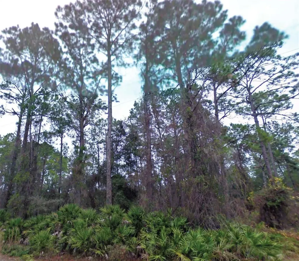 NE 66th Avenue Citra FL 32113