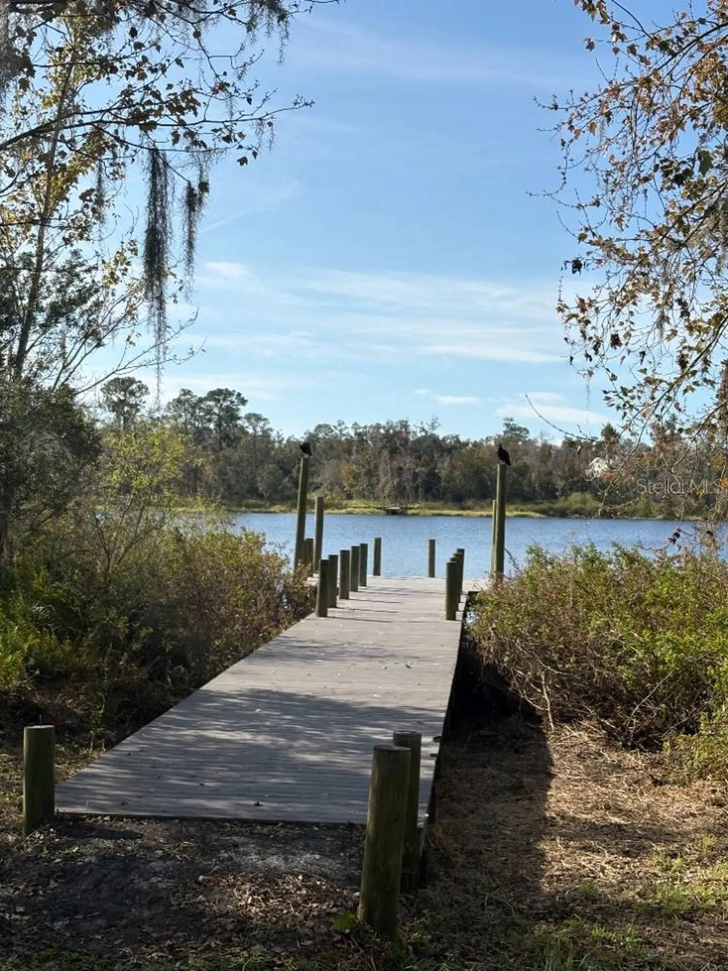 24610 State Road 64 E Myakka City FL 34251