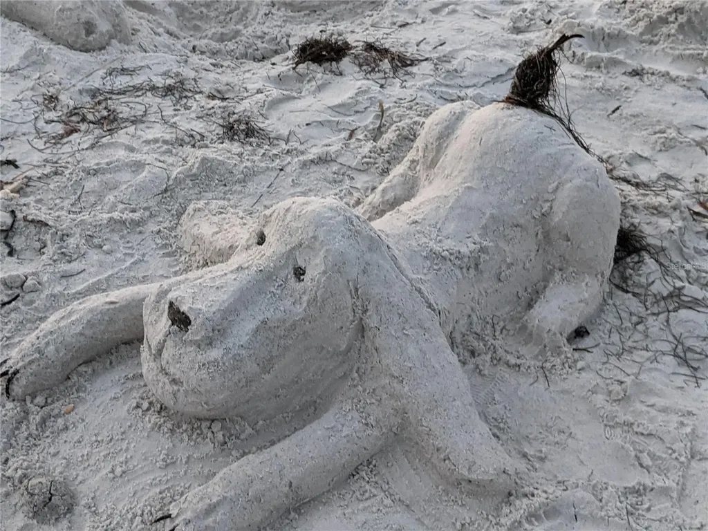 825 E Gulf Boulevard Indian Rocks Beach FL 33785