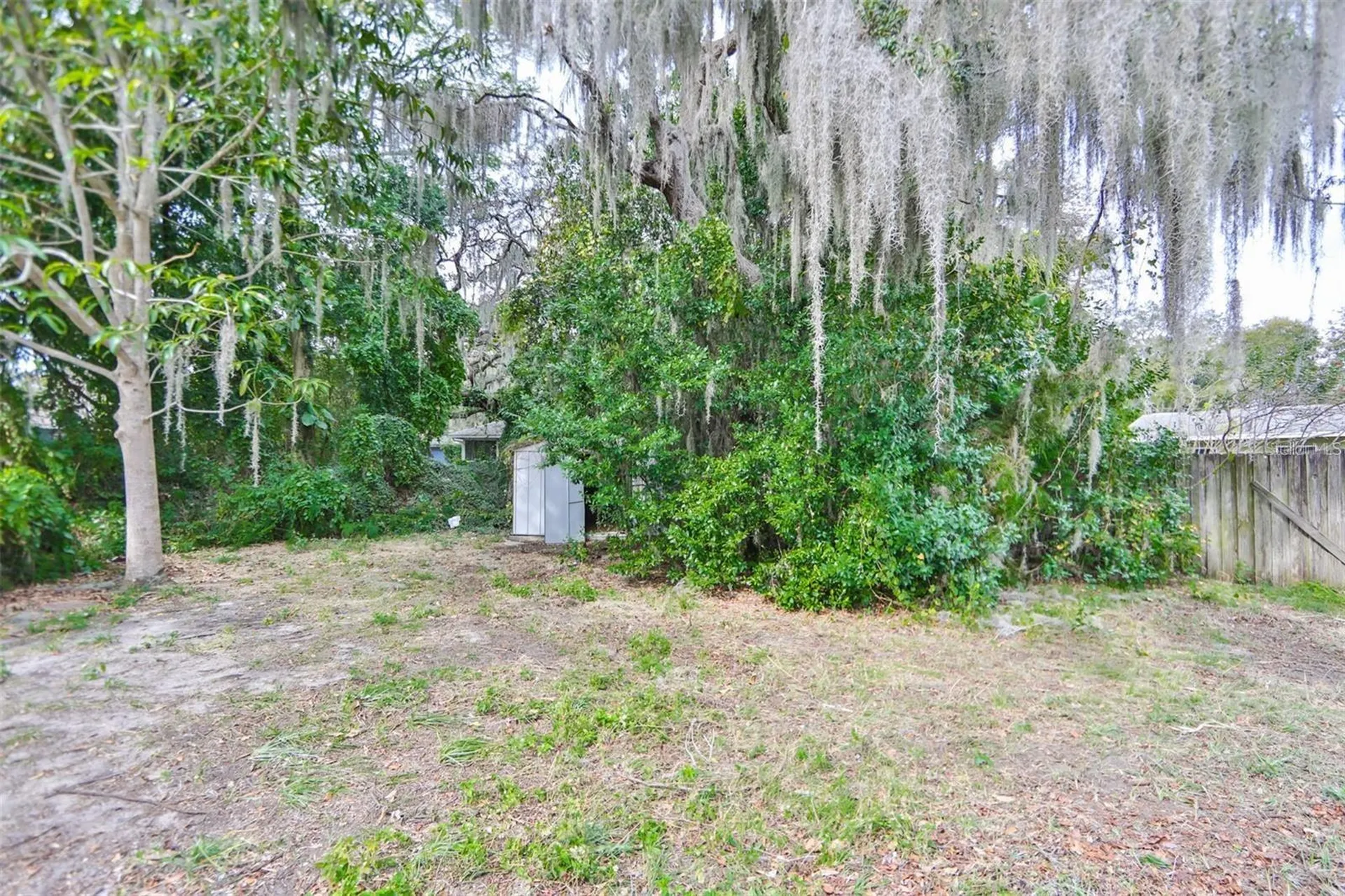 2028 N Betty Lane Clearwater FL 33755