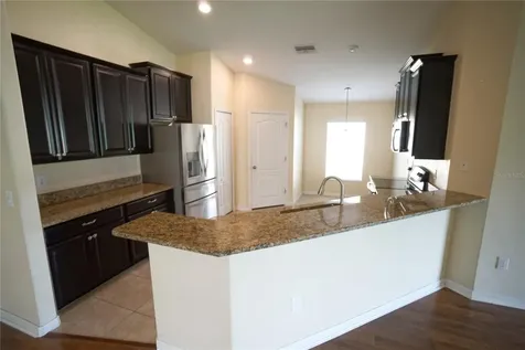 12337 Ballentrae Forest Drive Riverview FL 33579