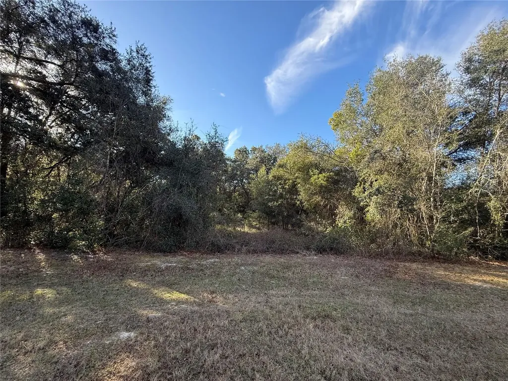 Harris Lake Road Lady Lake FL 32159