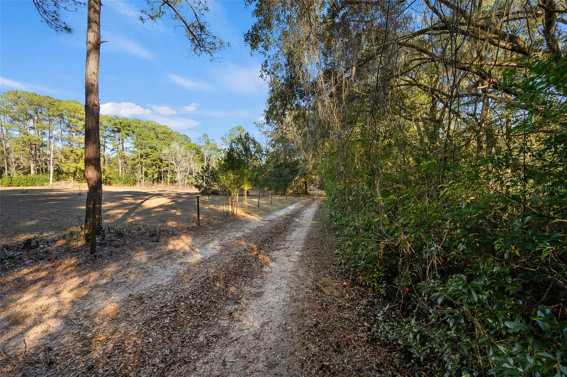 13076 SW 154th Street Archer FL 32618
