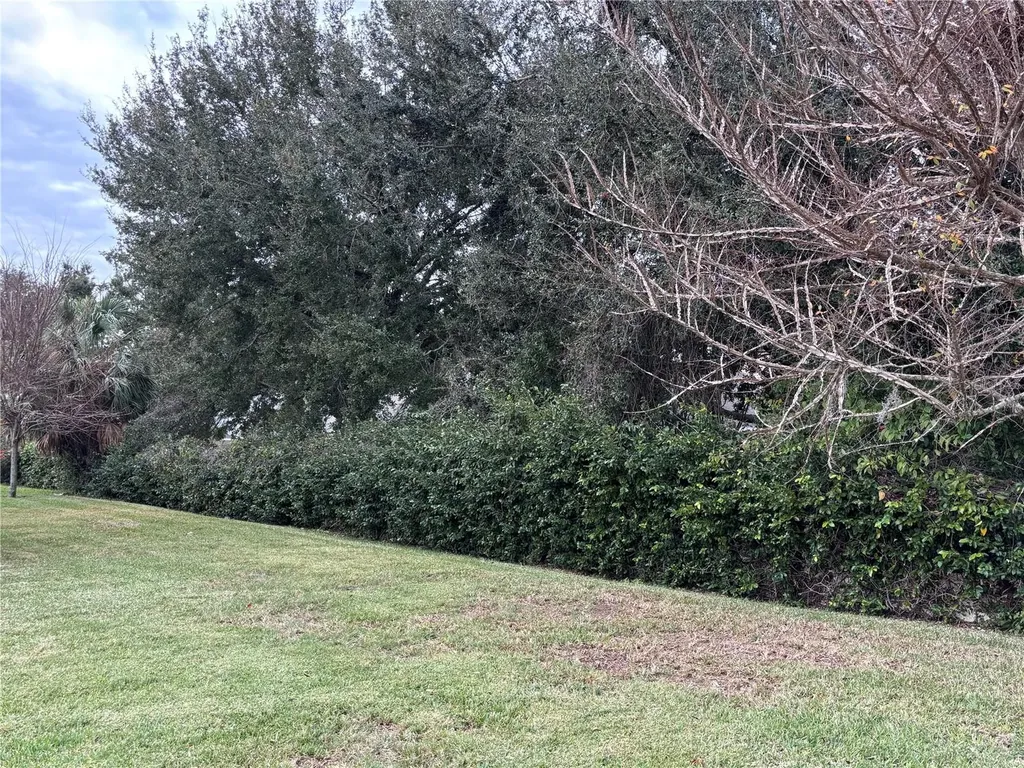 4040 Casterly Rock Court Eustis FL 32736