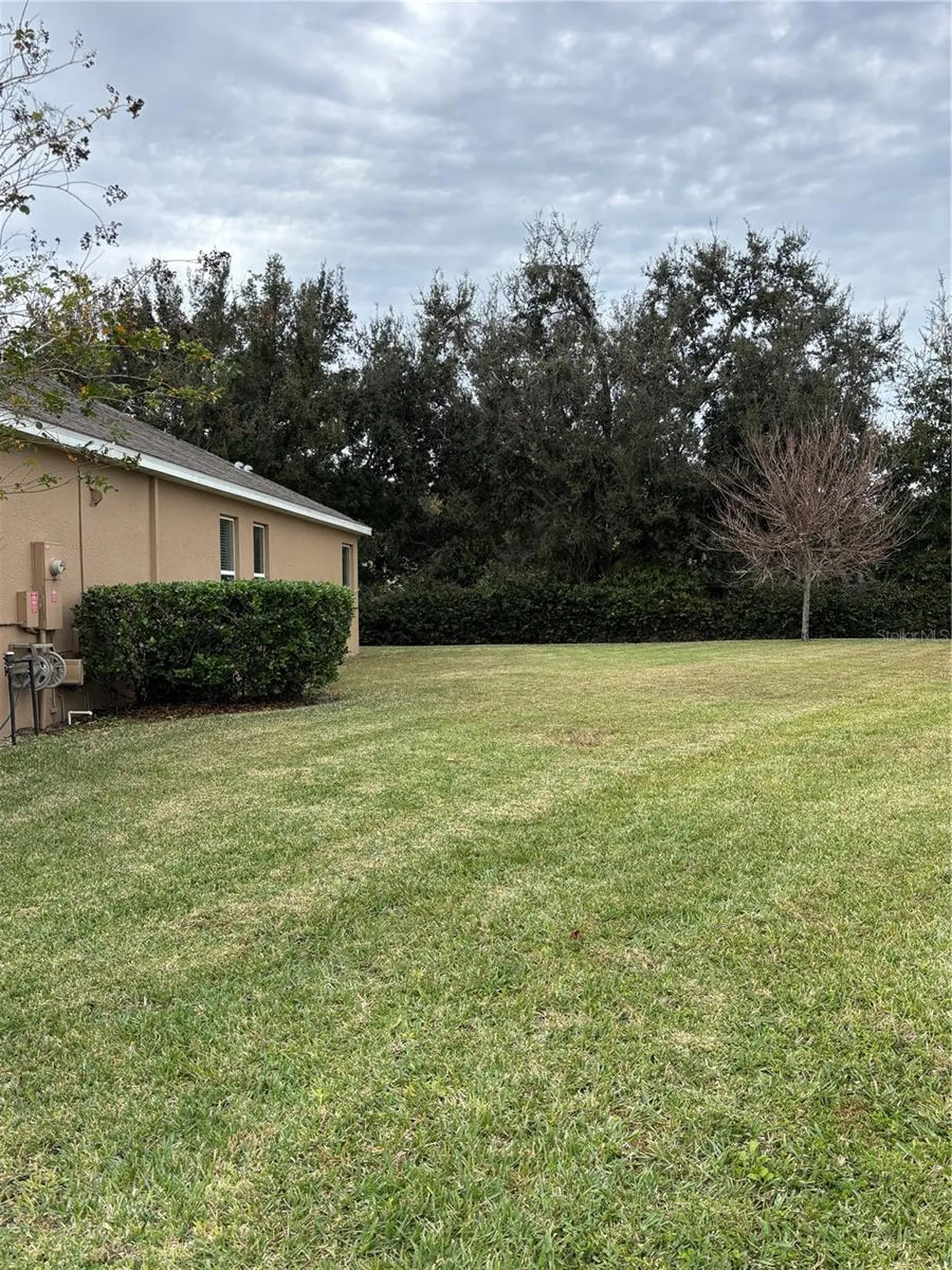 4040 Casterly Rock Court Eustis FL 32736