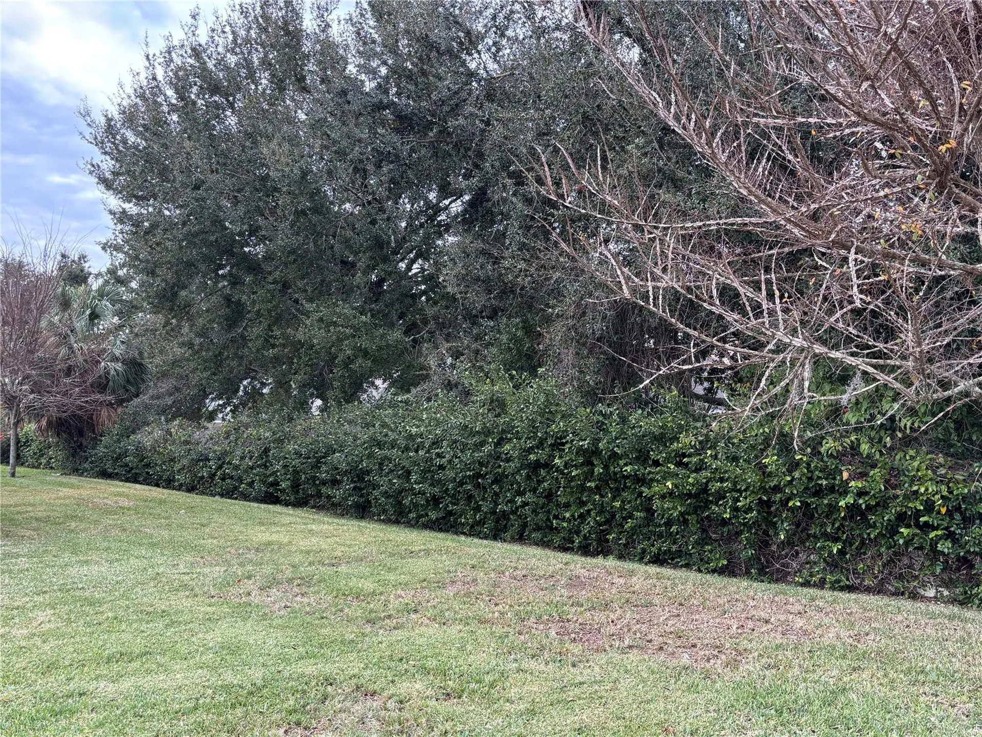 4040 Casterly Rock Court Eustis FL 32736