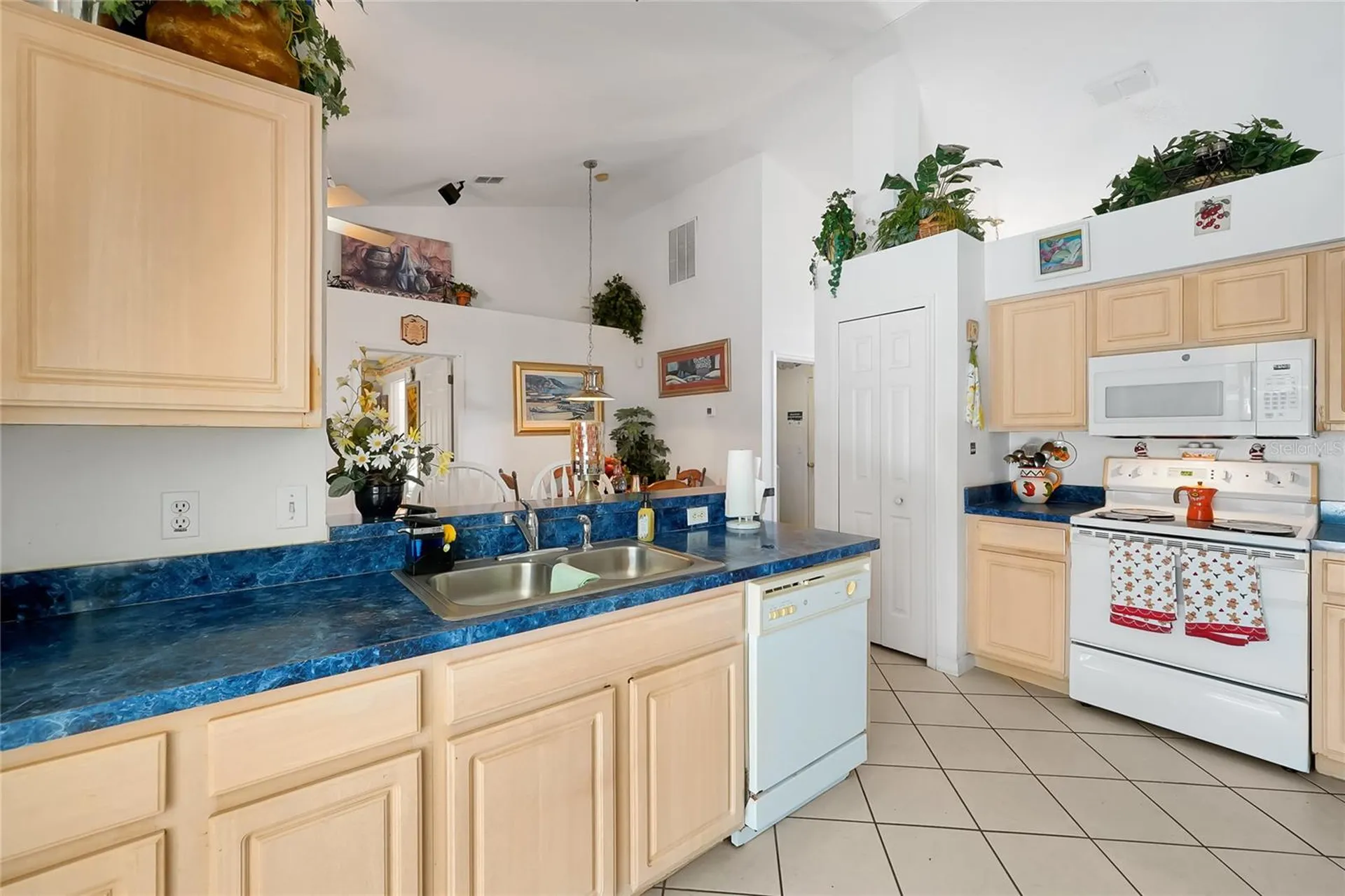 2902 Evans Way Kissimmee FL 34758