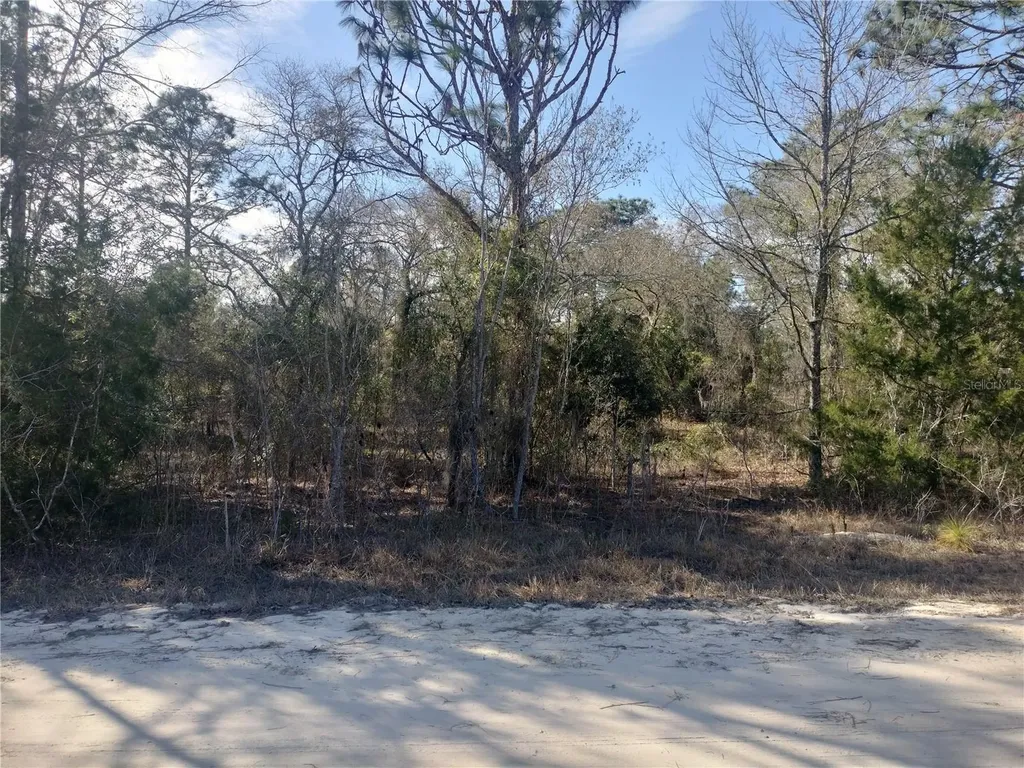 SE 137th Court Morriston FL 32668