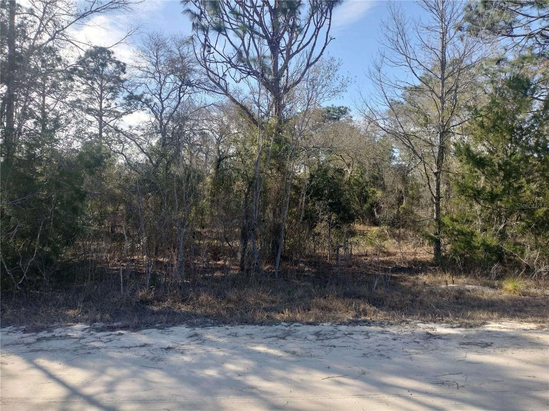 SE 137th Court Morriston FL 32668