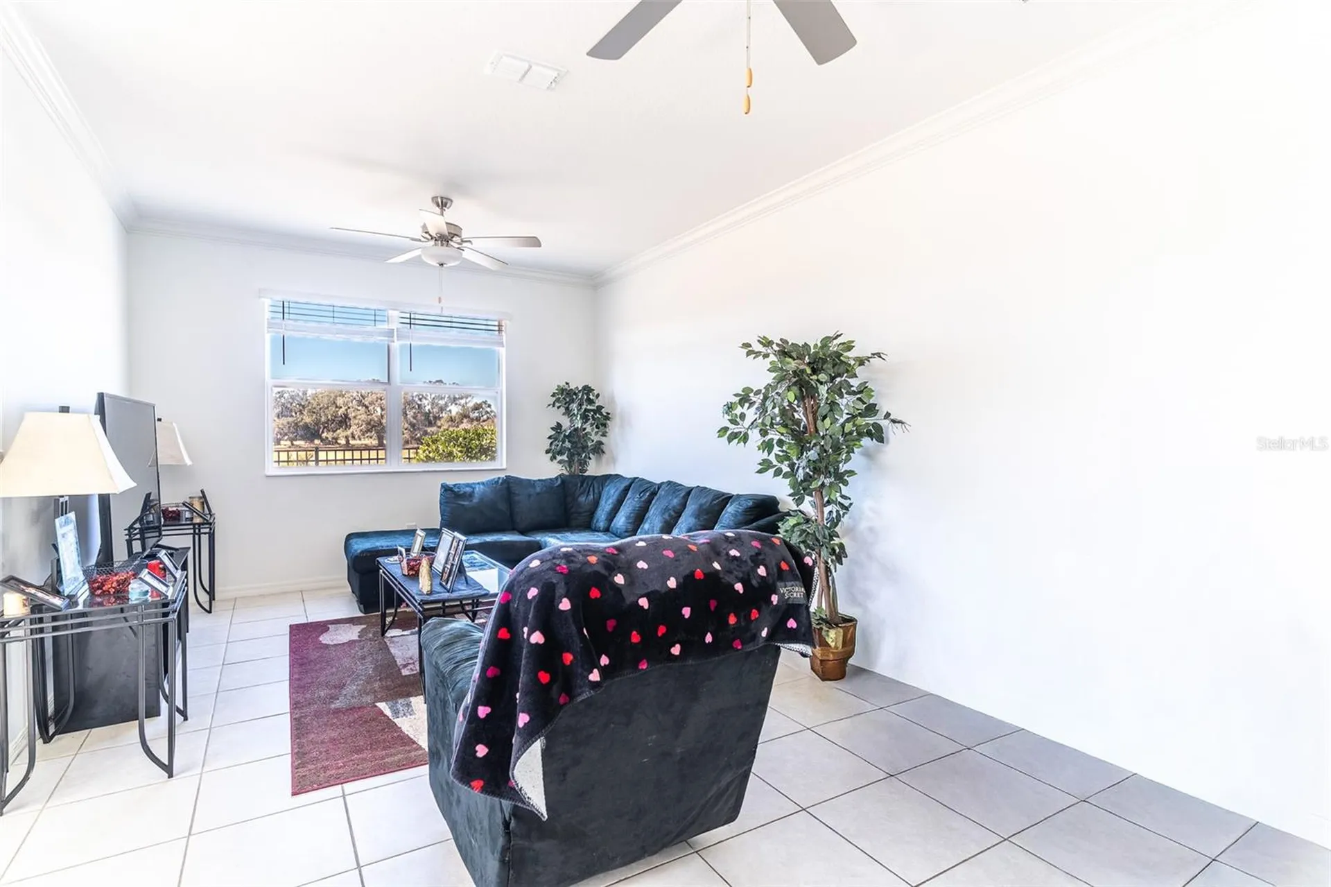 7014 Ripple Pond Loop Zephyrhills FL 33541