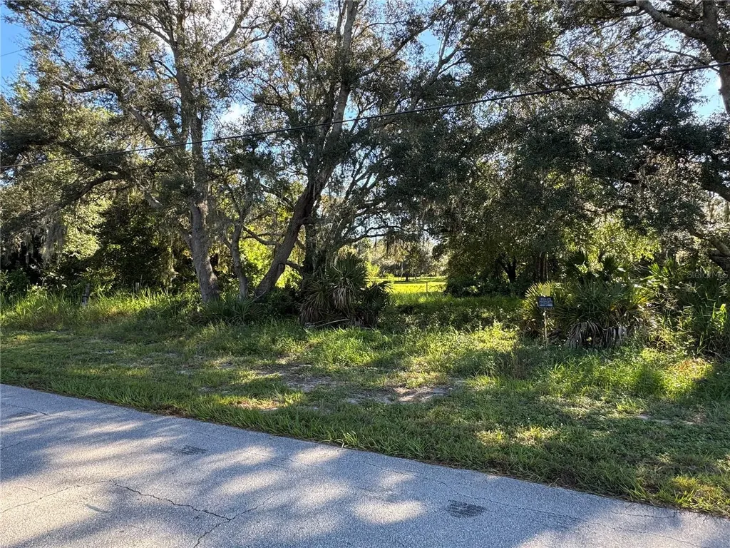 2040 N Morningside Road Avon Park FL 33825