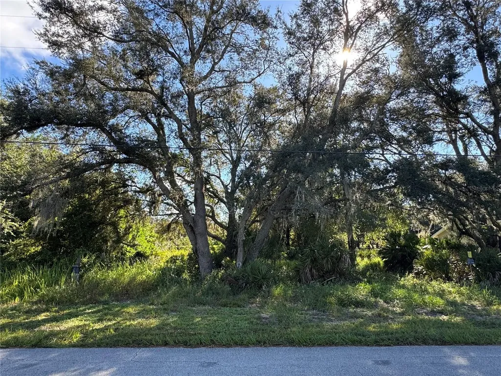 2040 N Morningside Road Avon Park FL 33825