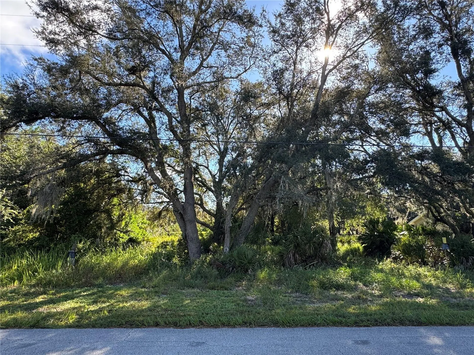 2040 N Morningside Road Avon Park FL 33825