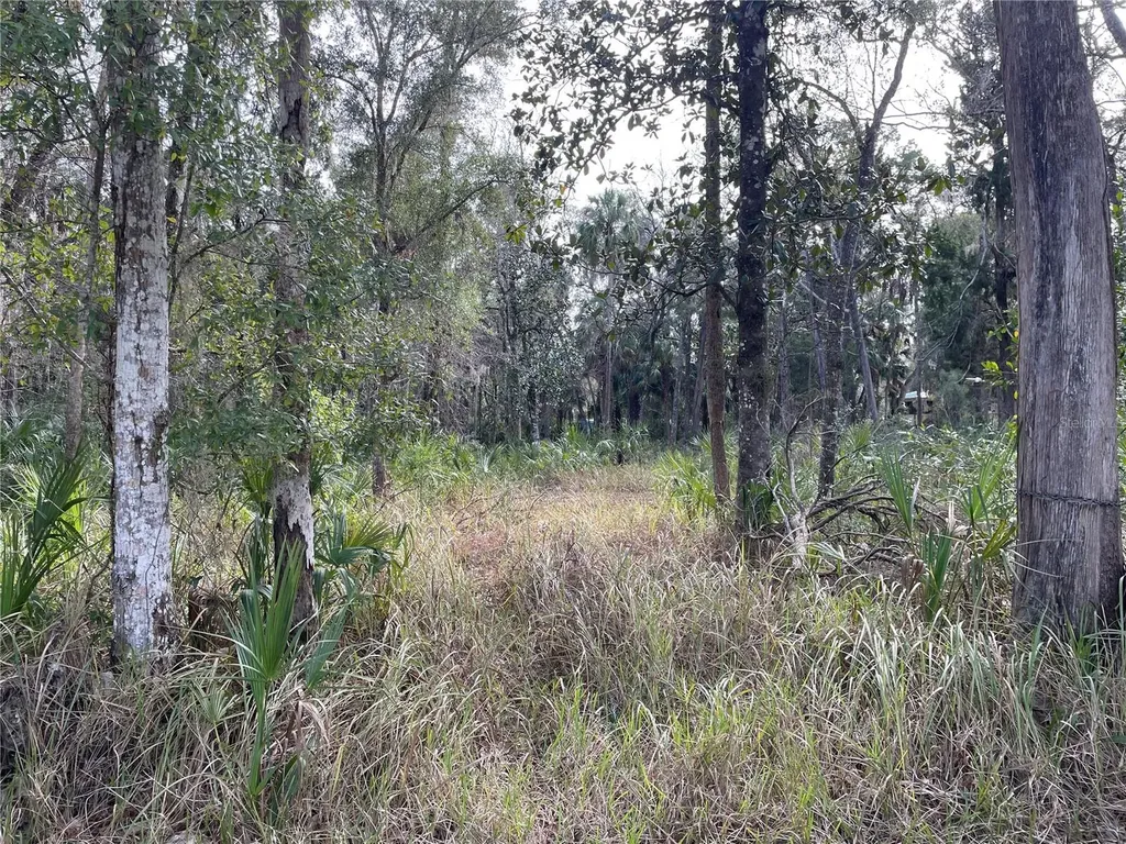 11106 W Townsend Lane Homosassa FL 34448