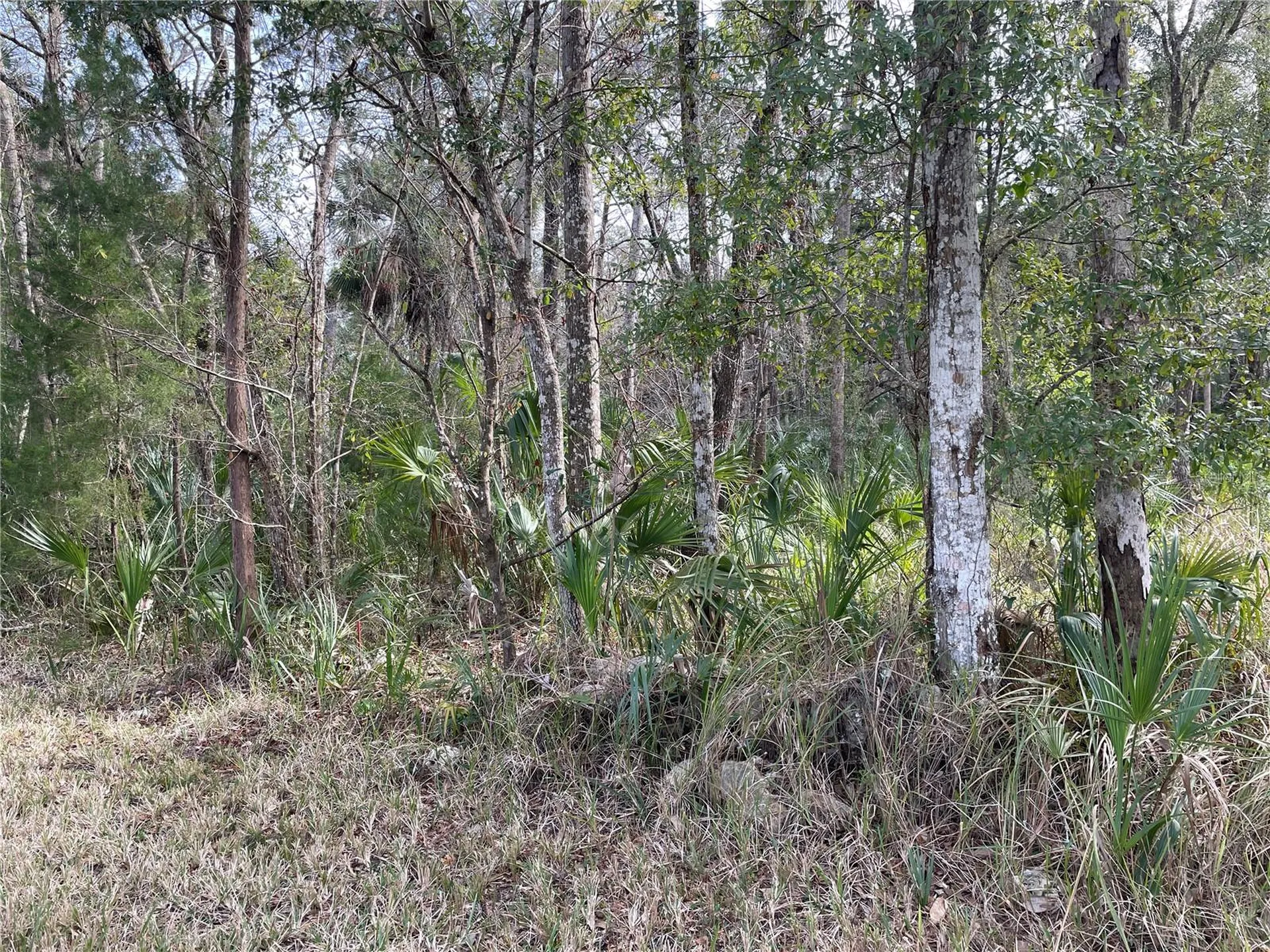 11106 W Townsend Lane Homosassa FL 34448