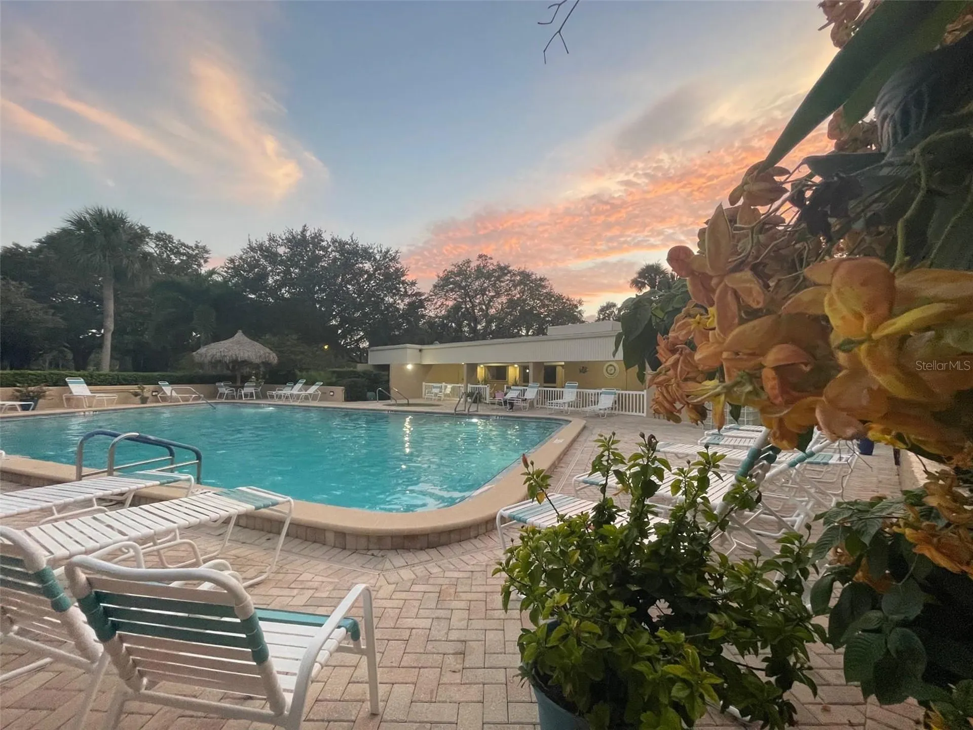 2618 Cove Cay Drive Clearwater FL 33760