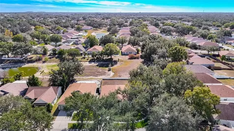 10411 Hunters Haven Boulevard Riverview FL 33578