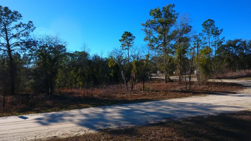 2150 SE 137th Court Morriston FL 32668