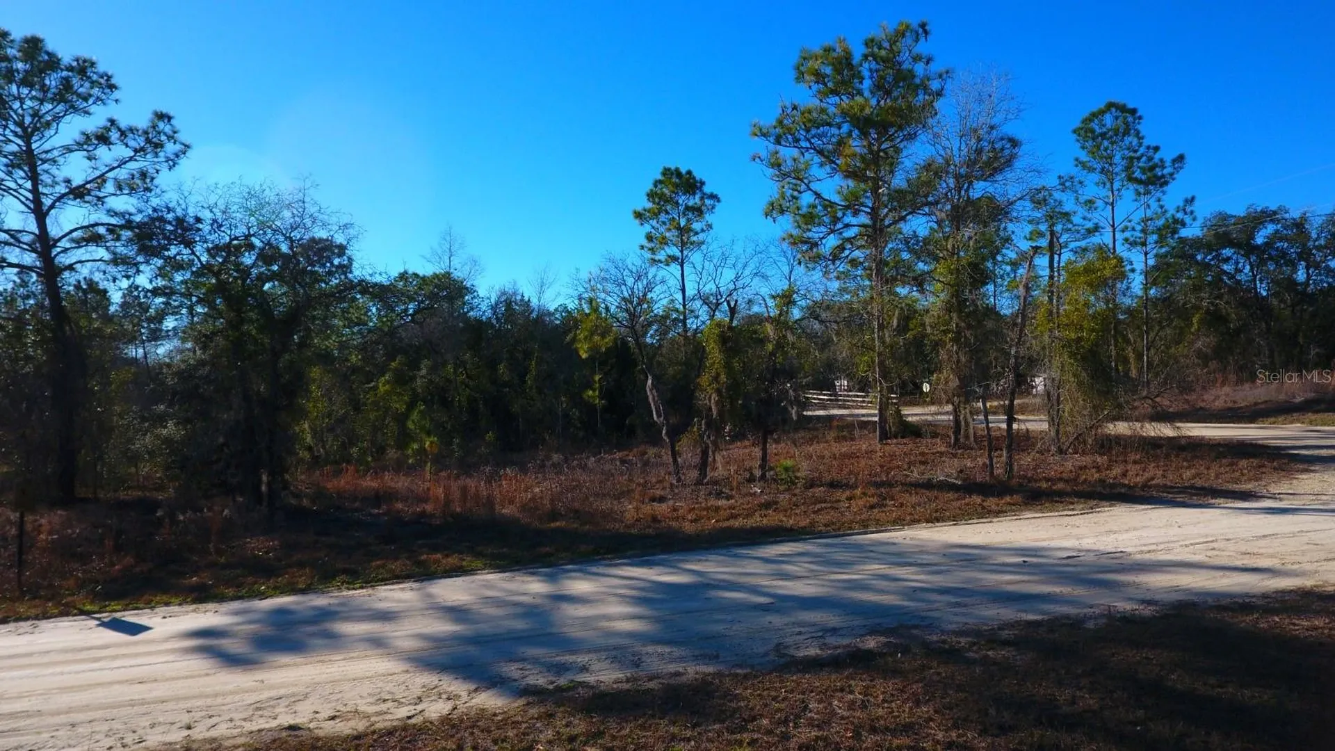 2150 SE 137th Court Morriston FL 32668