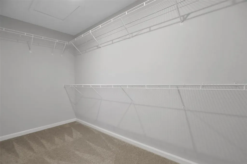 5615 Brooklet Woods Drive Wesley Chapel FL 33545