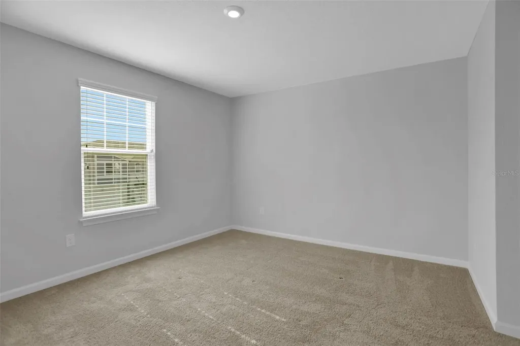 5615 Brooklet Woods Drive Wesley Chapel FL 33545