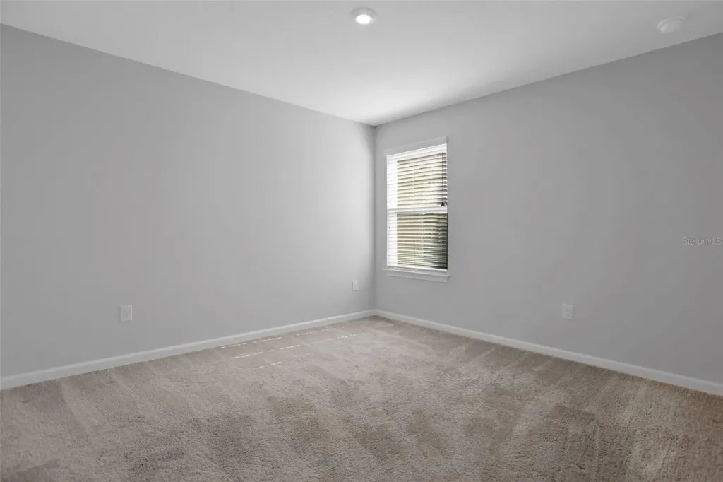 5615 Brooklet Woods Drive Wesley Chapel FL 33545