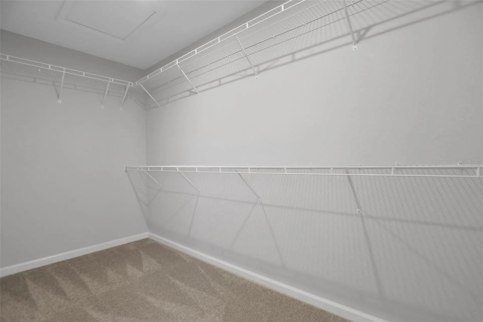 5615 Brooklet Woods Drive Wesley Chapel FL 33545