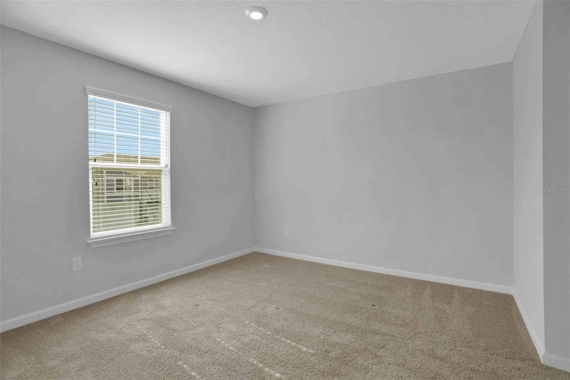 5615 Brooklet Woods Drive Wesley Chapel FL 33545