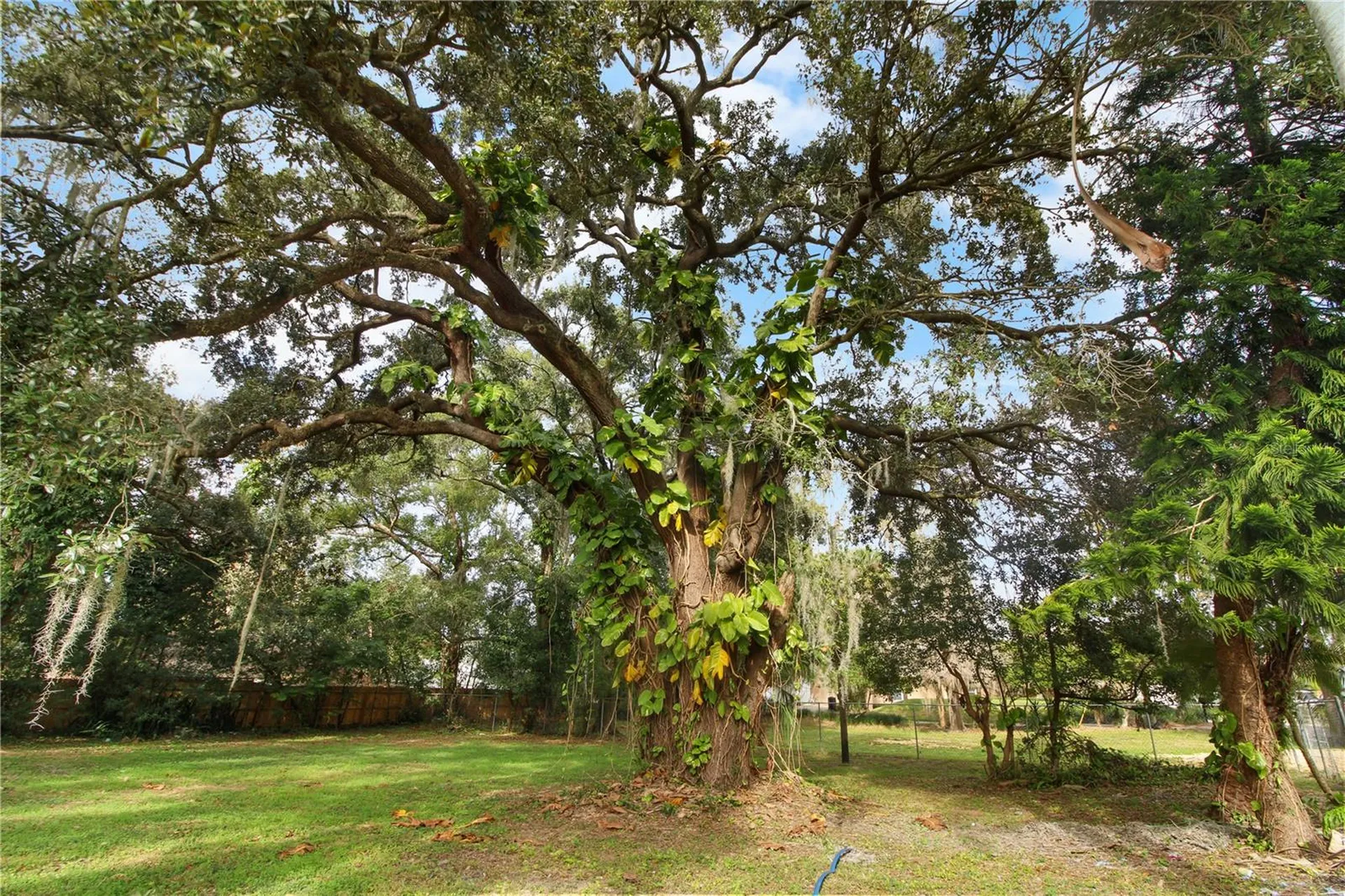 2524 Blue Lake Court Apopka FL 32703
