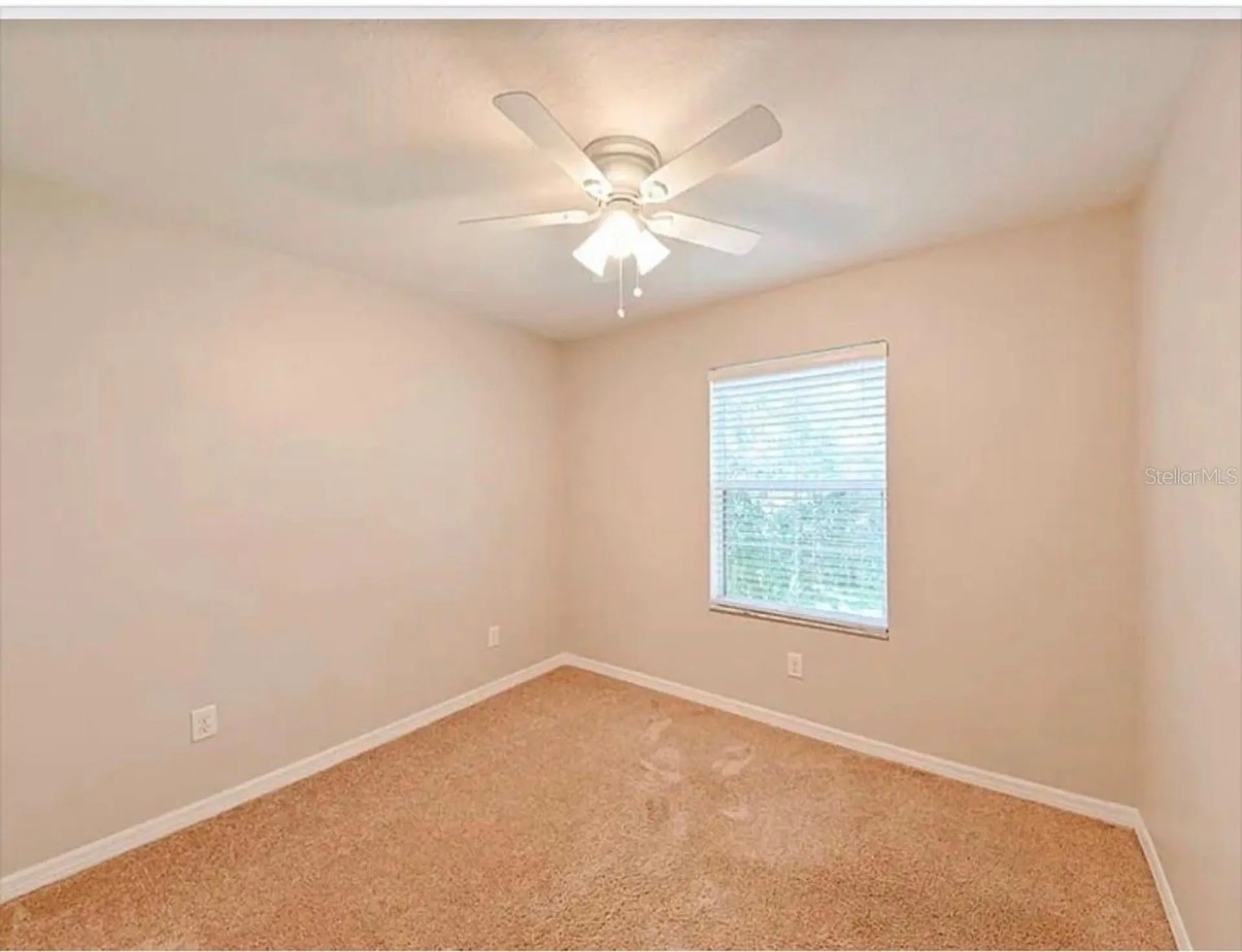 37706 Aaralyn Road Zephyrhills FL 33542