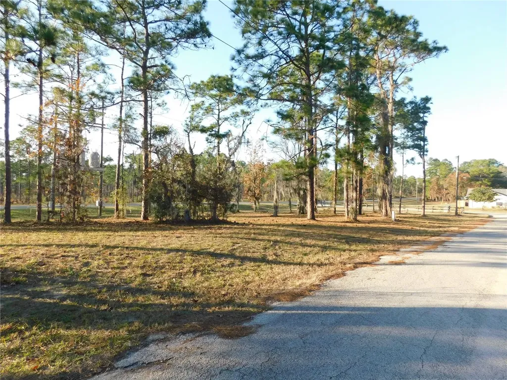 4932 E Eliza Court Inverness FL 34452