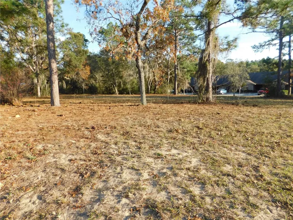 4932 E Eliza Court Inverness FL 34452