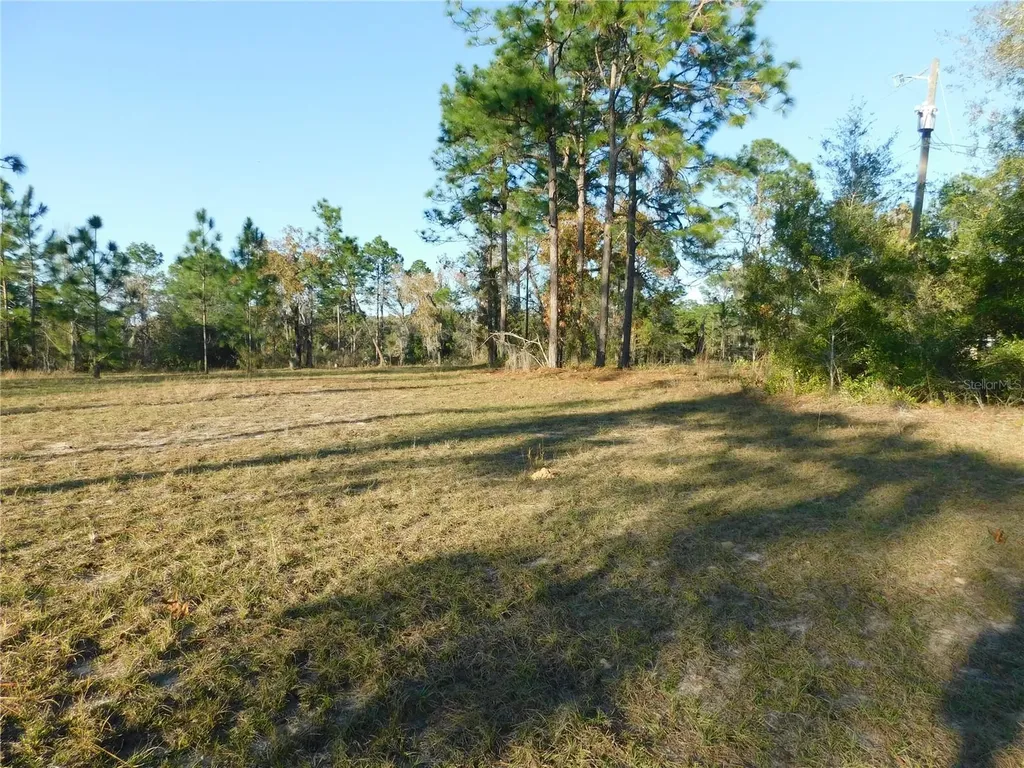 4932 E Eliza Court Inverness FL 34452