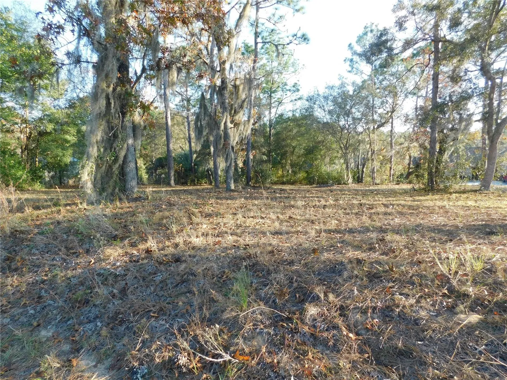 4932 E Eliza Court Inverness FL 34452