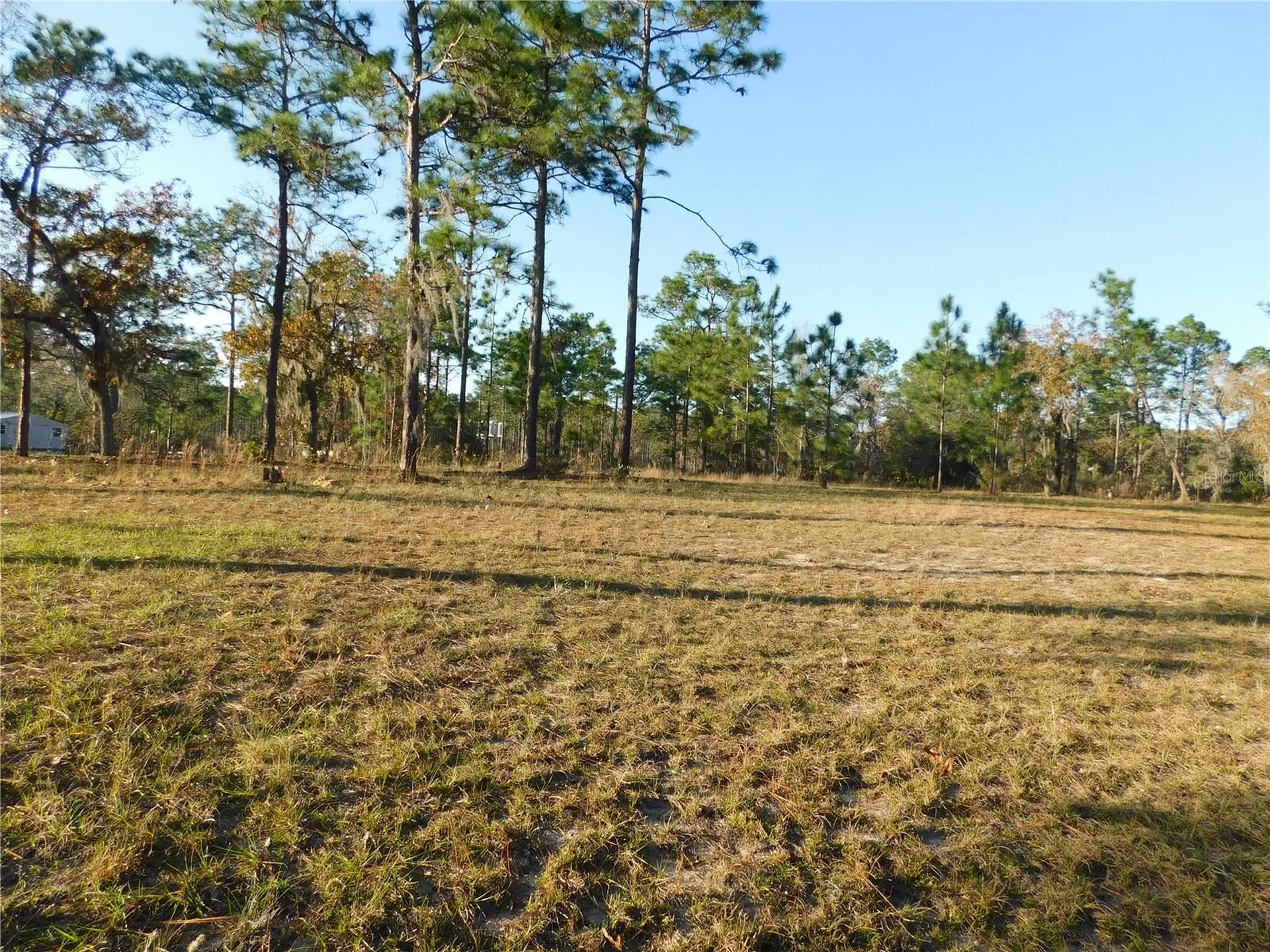 4932 E Eliza Court Inverness FL 34452