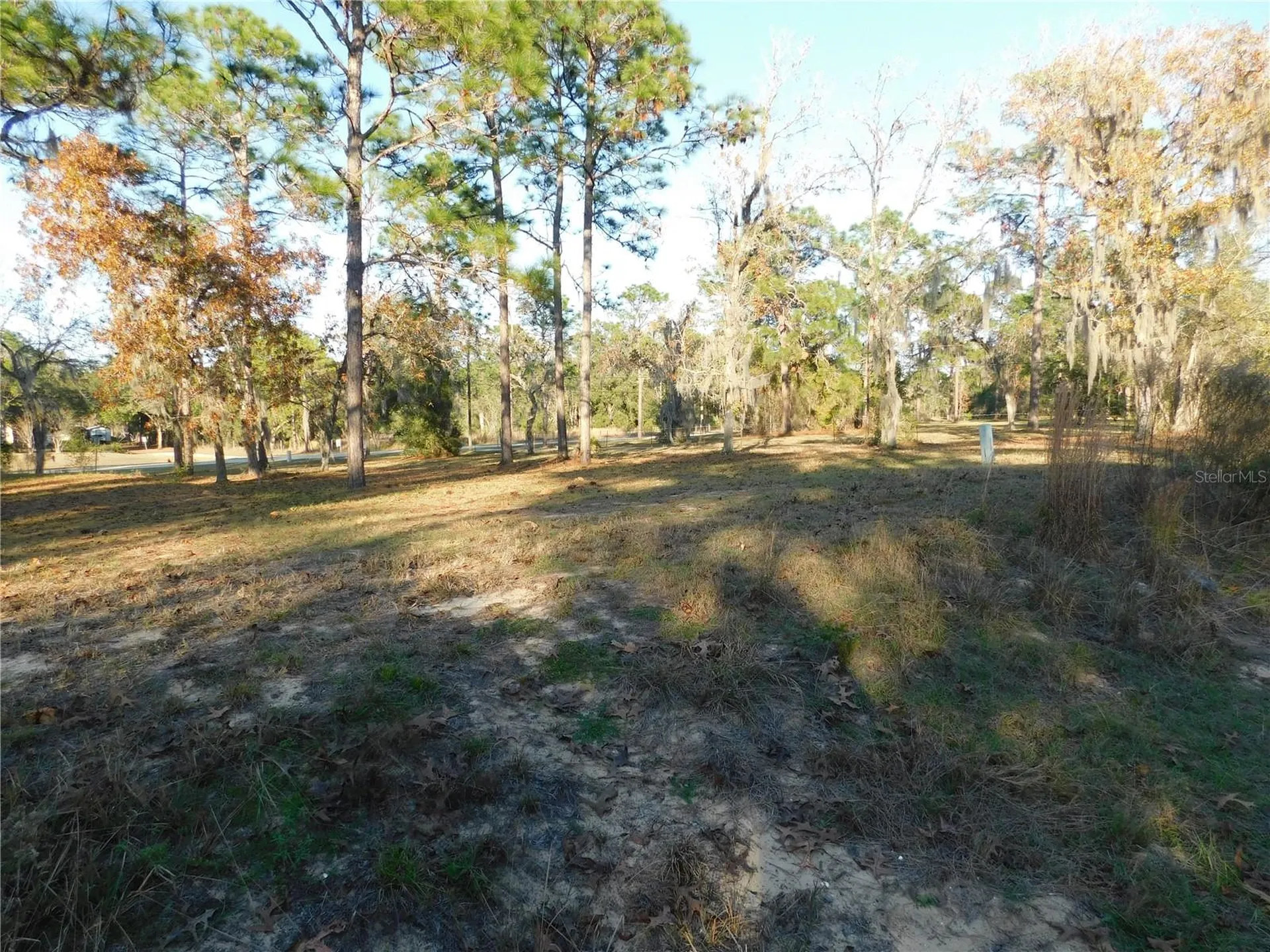 4932 E Eliza Court Inverness FL 34452