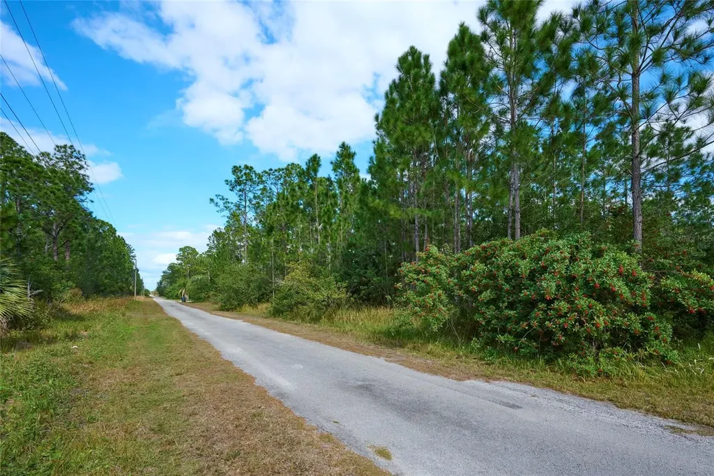 28 And 30 Amaryllis Drive Indian Lake Estates FL 33855