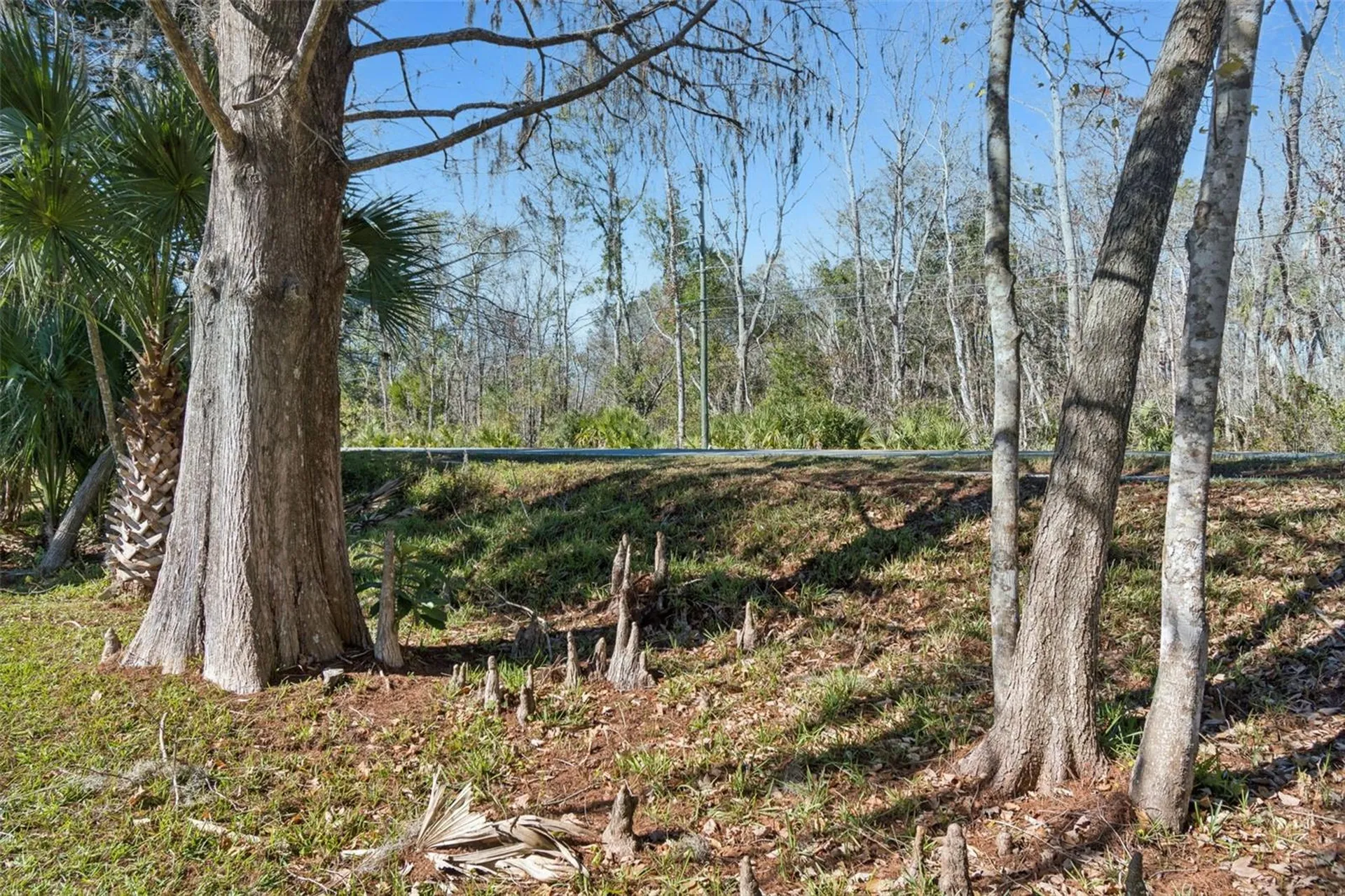 7287 Aberdeen Court Weeki Wachee FL 34607