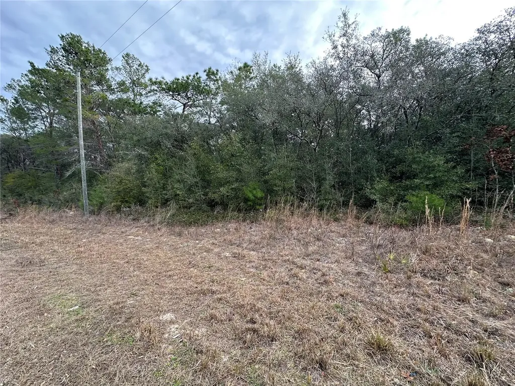 7891 N Darby Drive Citrus Springs FL 34433