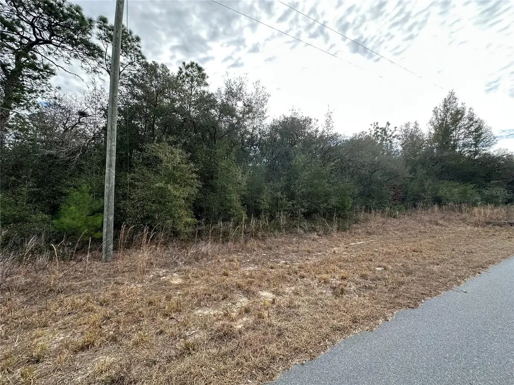 7891 N Darby Drive Citrus Springs FL 34433