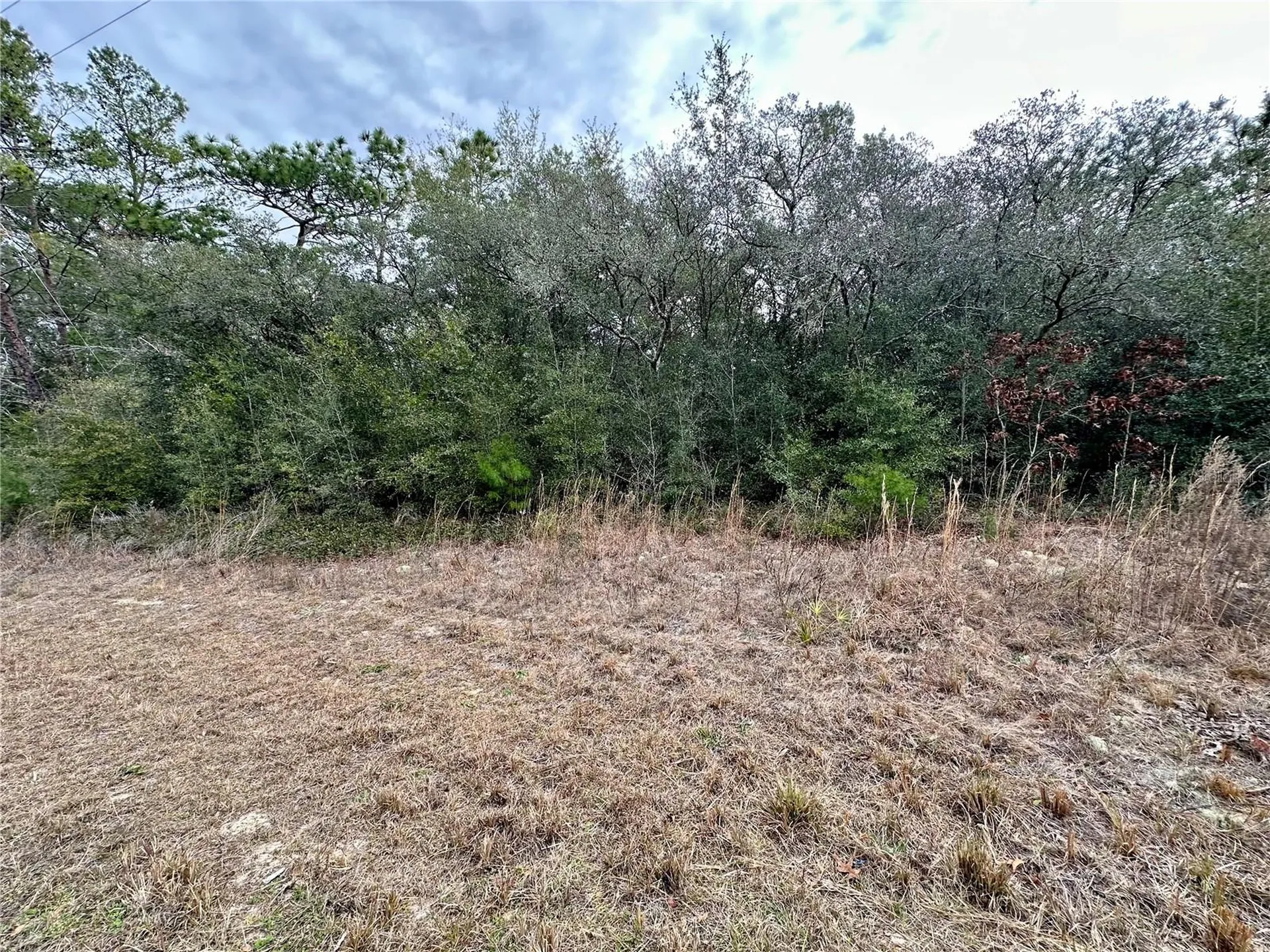 7891 N Darby Drive Citrus Springs FL 34433