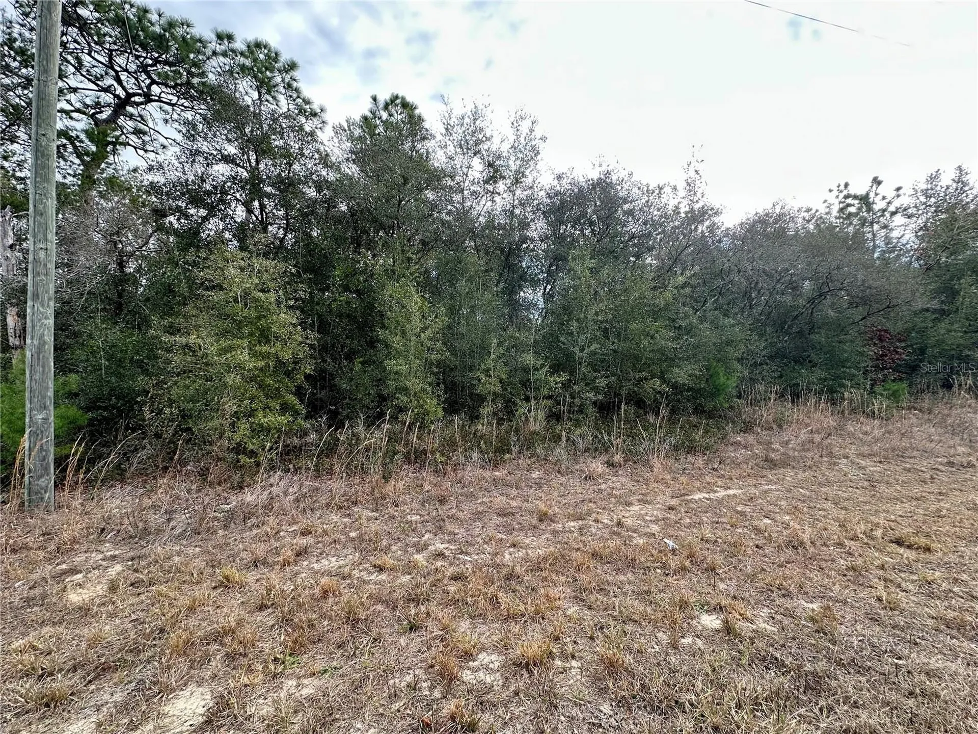 7891 N Darby Drive Citrus Springs FL 34433