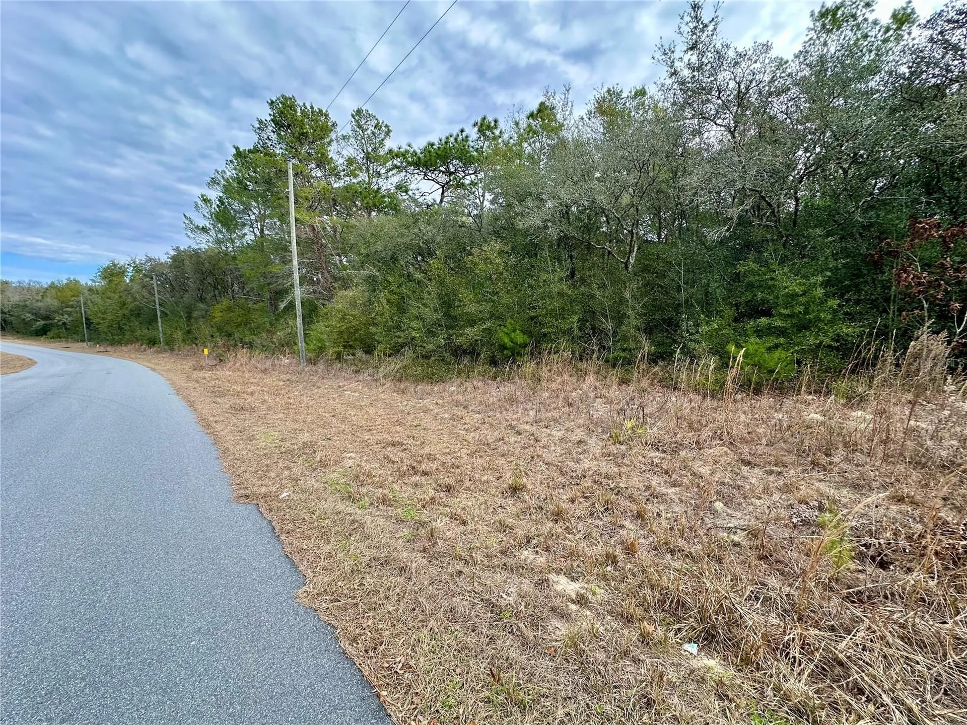 7891 N Darby Drive Citrus Springs FL 34433