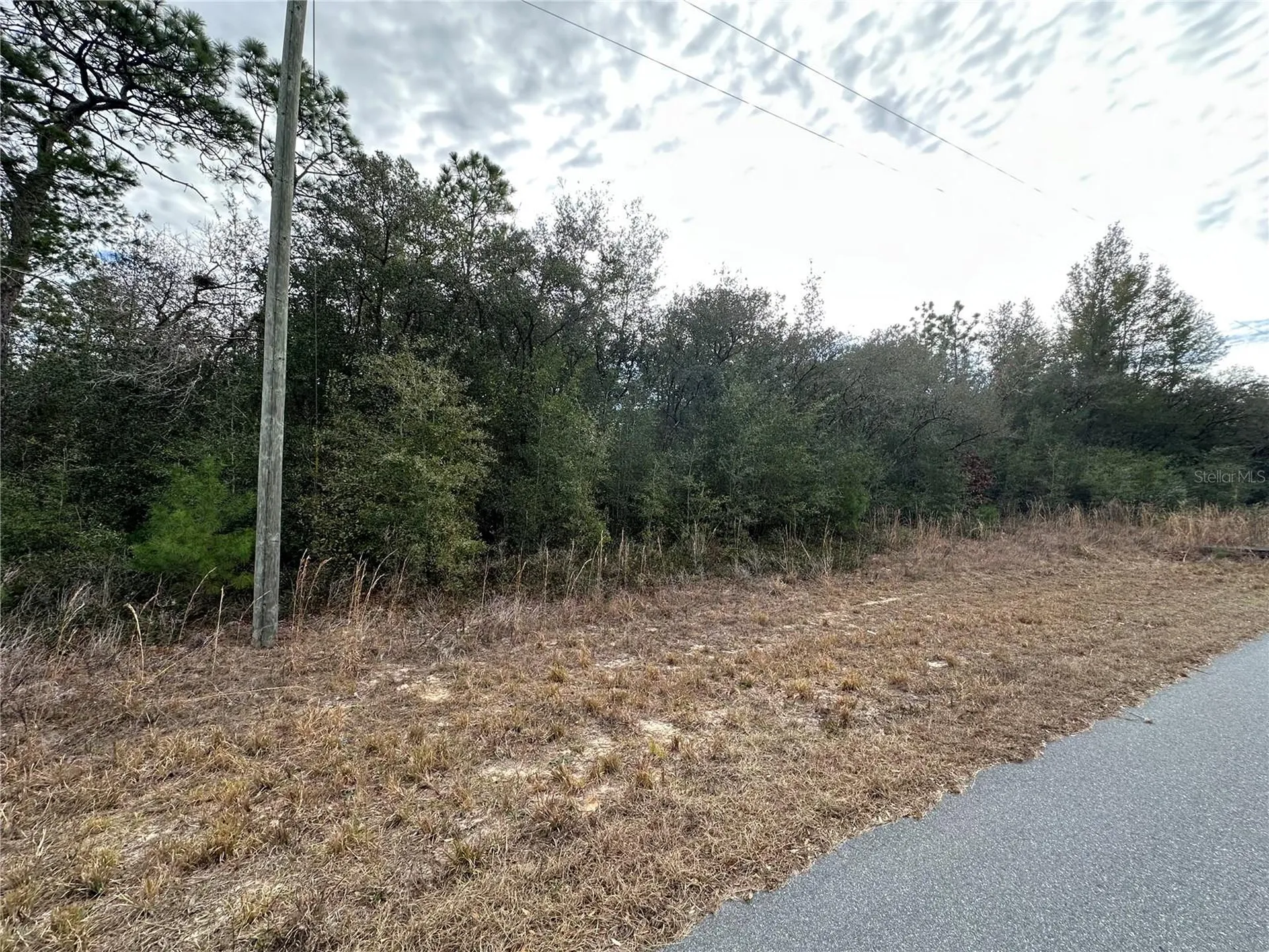 7891 N Darby Drive Citrus Springs FL 34433