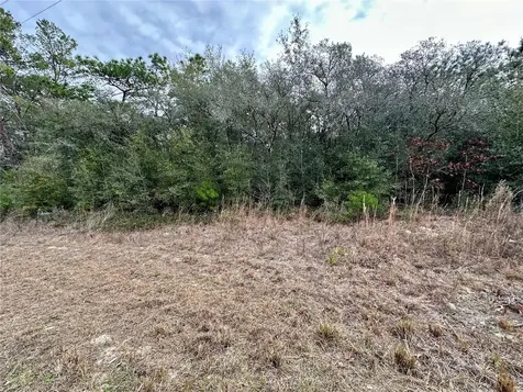 7891 N Darby Drive Citrus Springs FL 34433