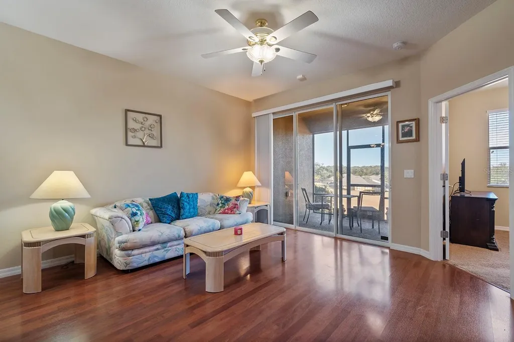 22019 Belgian Court Mount Dora FL 32757