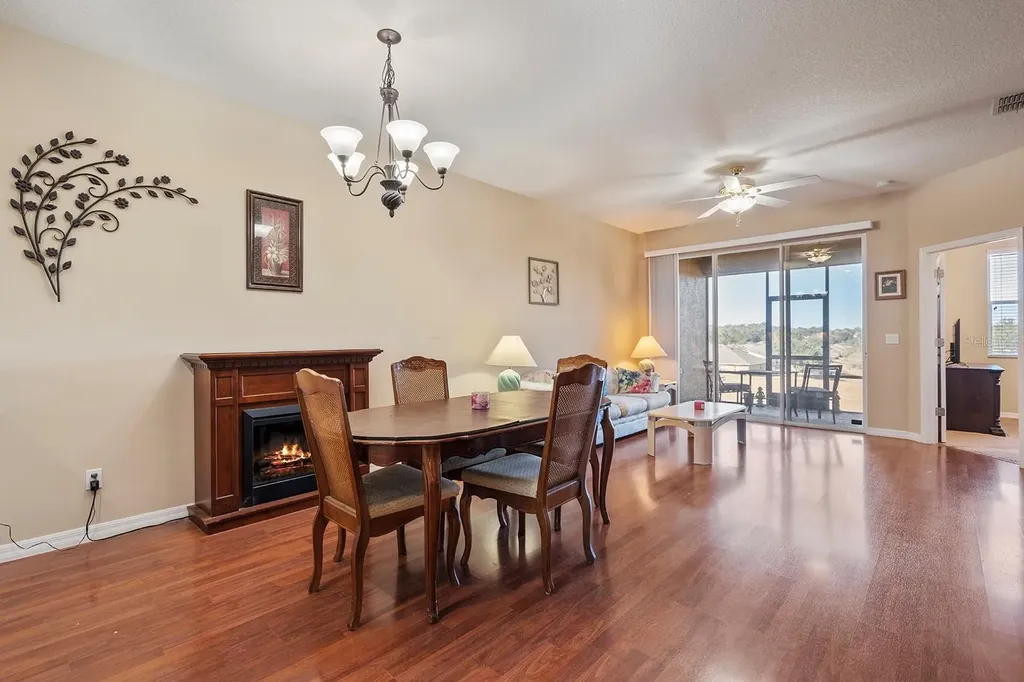 22019 Belgian Court Mount Dora FL 32757