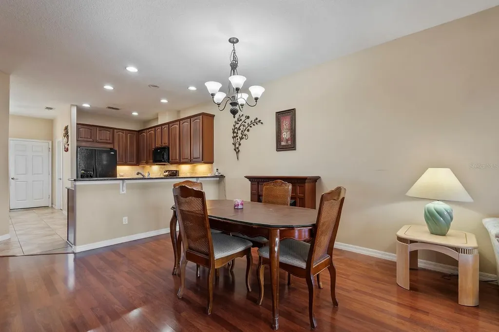 22019 Belgian Court Mount Dora FL 32757