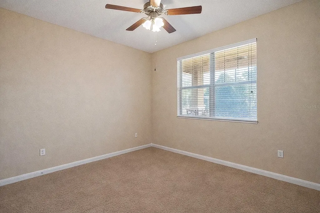 22019 Belgian Court Mount Dora FL 32757