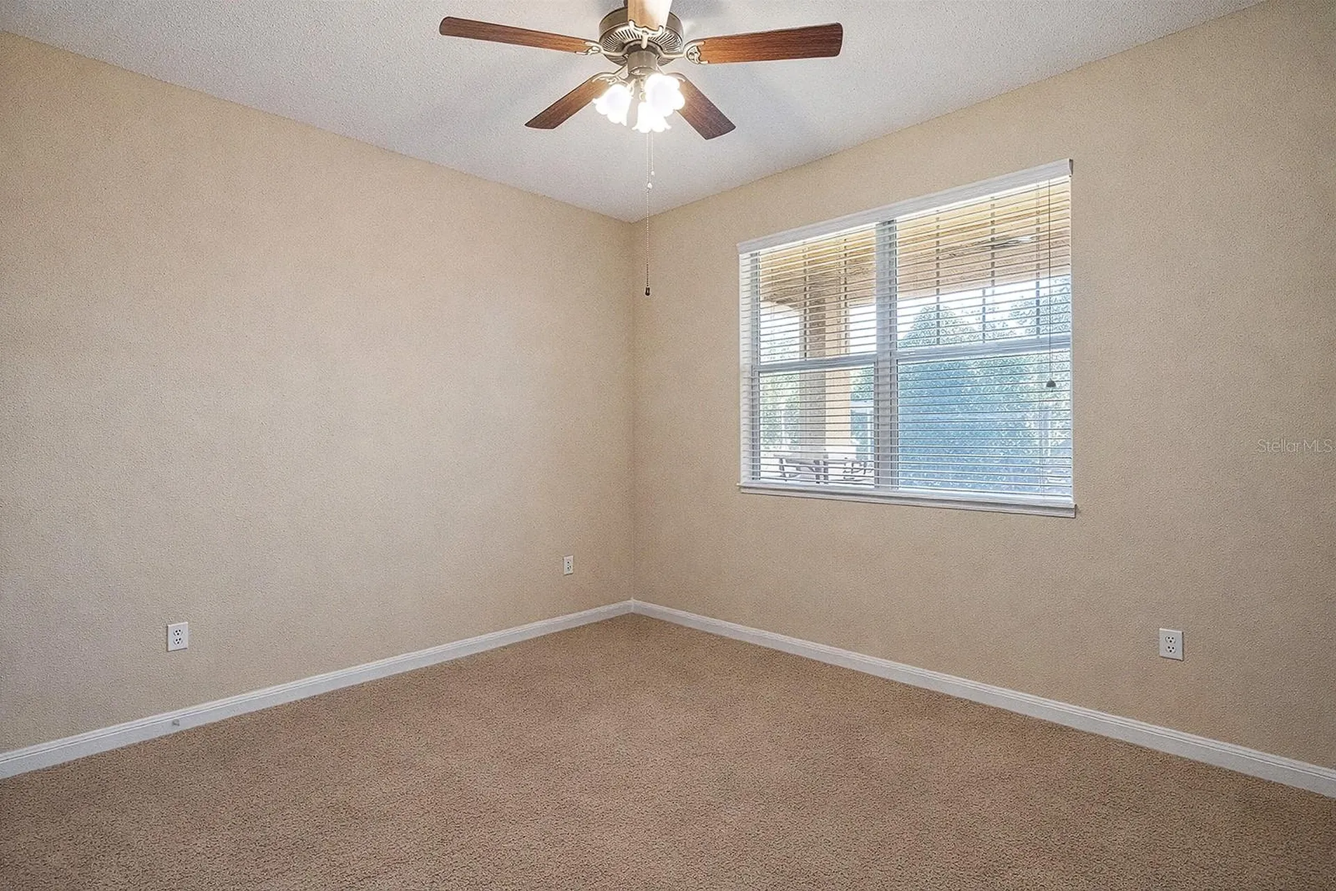 22019 Belgian Court Mount Dora FL 32757